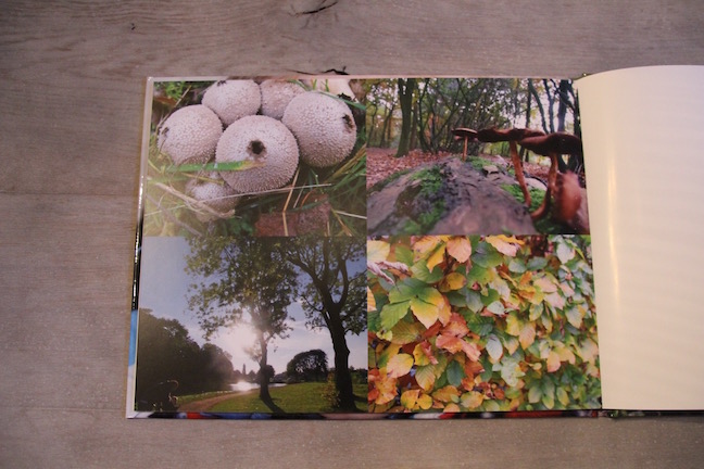 liefde Glad Verkleuren HEMA fotoboek - Vergelijk Fotoboek Maken | fotoalbum test